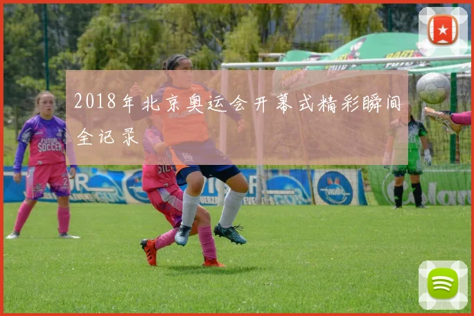 2018年北京奥运会开幕式精彩瞬间全记录