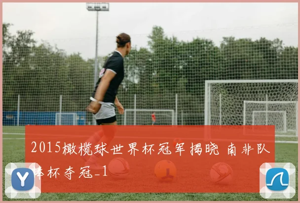 2015橄榄球世界杯冠军揭晓 南非队捧杯夺冠_1